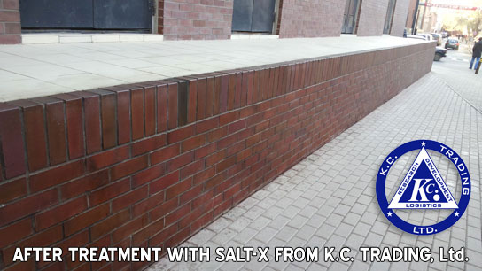 efflorescence salt-x after treatment