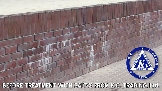 efflorescence salt-x removal